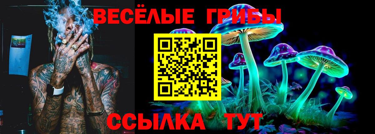 Псилоцибиновые грибы Cubensis  Вход с VPN  где продают   Апрелевка 